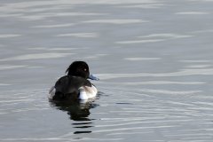 IMG_5171
