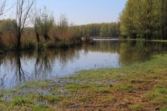 Stille Kern, Zeewolde, Flevoland