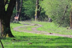 Stille Kern, Zeewolde, Flevoland
