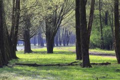 Stille Kern, Zeewolde, Flevoland