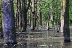 Stille Kern, Zeewolde, Flevoland