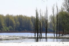 Stille Kern, Zeewolde, Flevoland