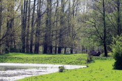 Stille Kern, Zeewolde, Flevoland
