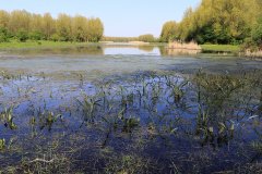 Stille Kern, Zeewolde, Flevoland